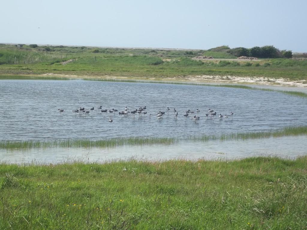 迦叶茉莉露营地 滨海卡约 外观 照片